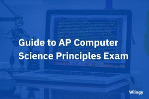 Your AP Computer Science Principles Resource Center - Wiiingy