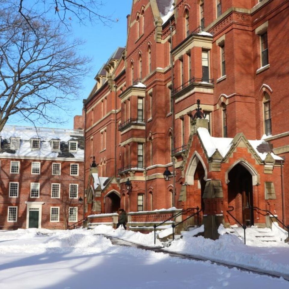 AP Credit Policies Of Top 20 Colleges Wiingy ap-credit-policies-of-top-20-colleges-wiingy